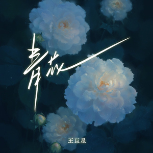 黑人把女学生弄到高潮
